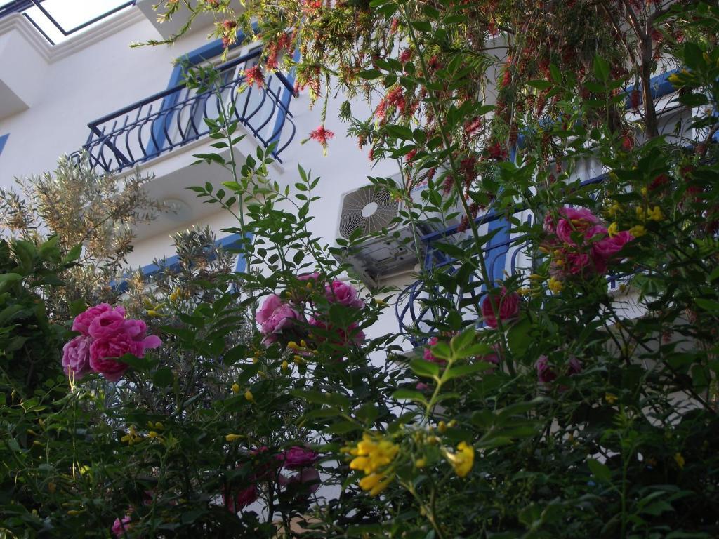 Miramar Pansiyon Kaş Esterno foto